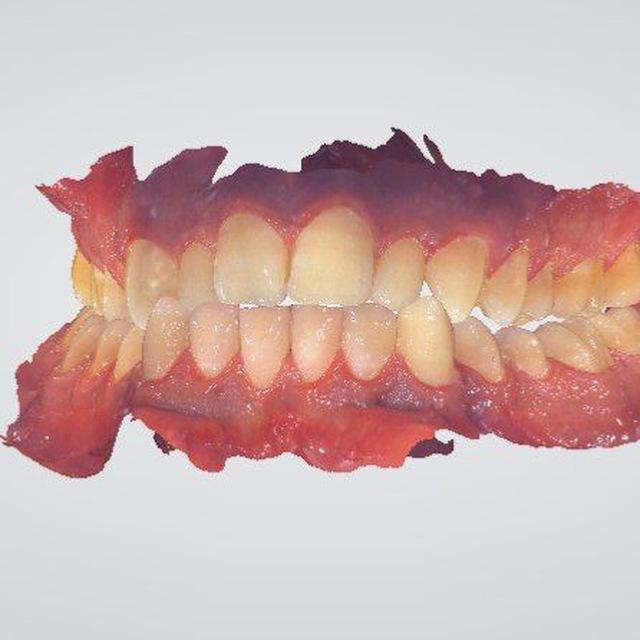 Best dental courses