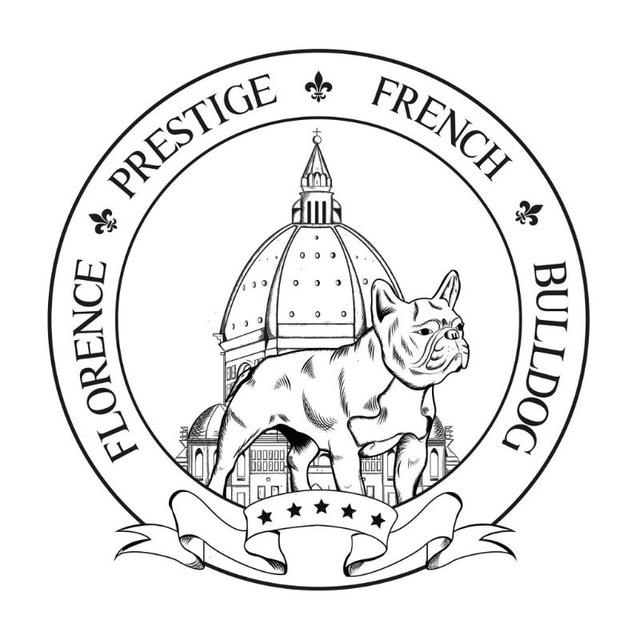 Florence Prestige French Bulldog