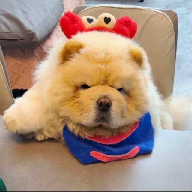 随风追忆