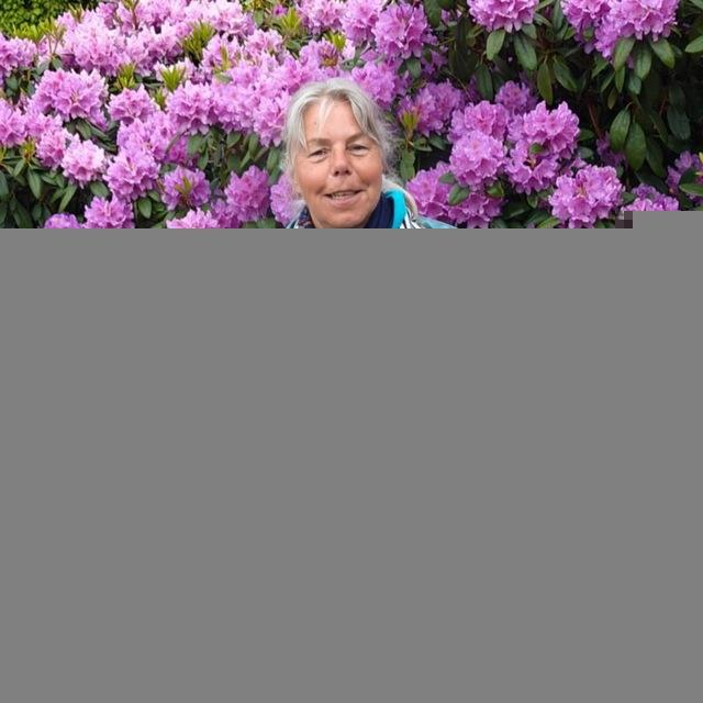 Praktijk Natuurlijk Loslaten