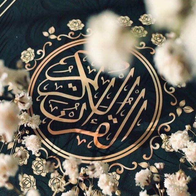 طَـــيـفٌ|🤎🌻•
