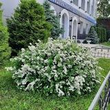 УФК по Костромской области
