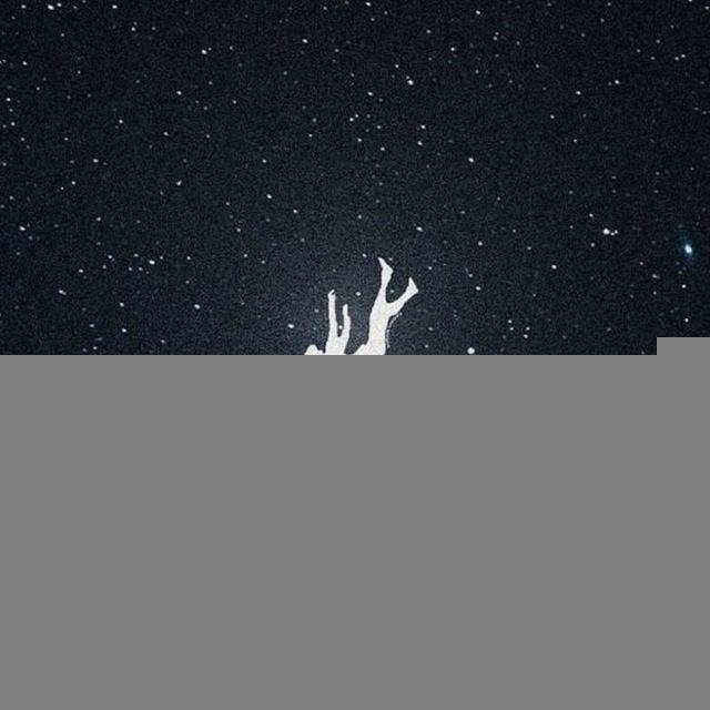 ✨ꜱᴇʏᴅᴀ_ꜱɪꜰᴛʜᴇ✨