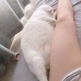 格温素材 人物包装 人设套图