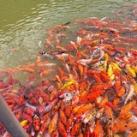 Tuyển dụng uy tín
