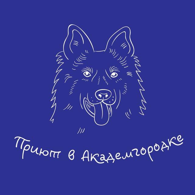 Приют Академгородка
