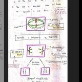 Pharmacology notes