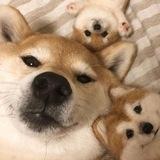 神秘模块备份