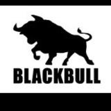 BLACK BULL FOREX EXPERT ✊