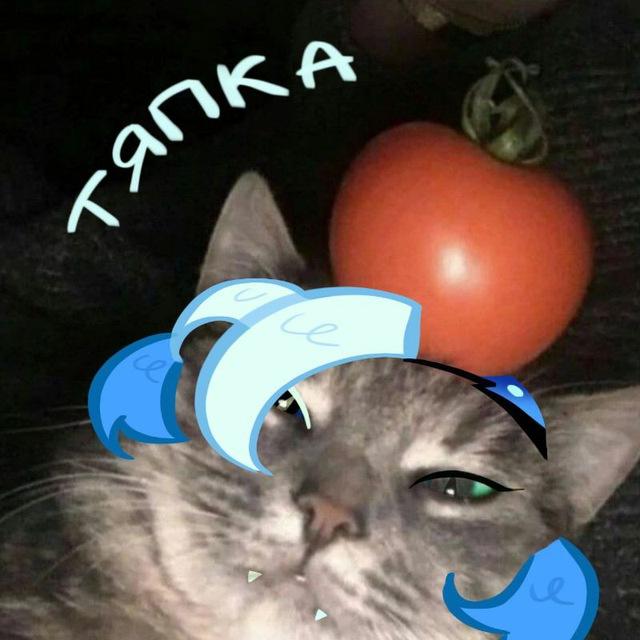 тяпка 🎏 [16+]