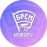 БРСМ БрГУ имени А.С. Пушкина