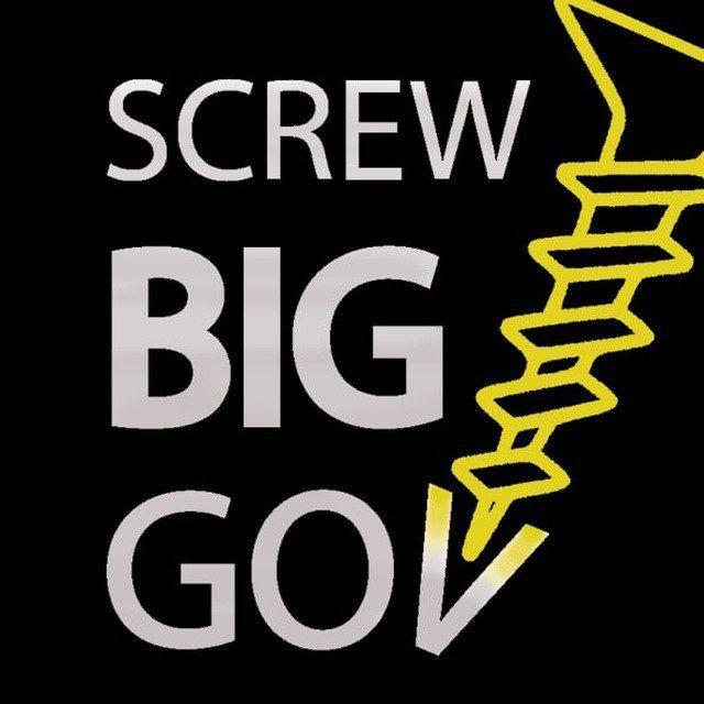 ScrewBigGov.com - Lewis Herms (Next Governor of California)