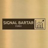 سیگنال برتر \ فارکس📊 کپی ترید