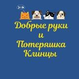 Добрые руки и Потеряшка Клинцы 🐱🐶