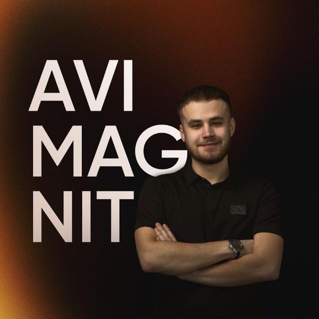 Владимир Логинов | АВИТОЛОГ | AVIMAGNIT