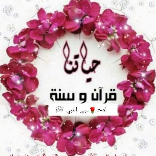 🌹لمحــــبي النبي ﷺ 🌹حياتنا قرآن وسنة