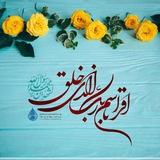 ☘️اقْرَأْ بِاسْمِ رَبِّكَ الَّذِي خَلَقَ☘️