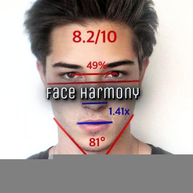 Face Harmony