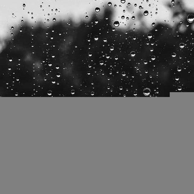 ديسمبر نهاية الأوجاع 🖤