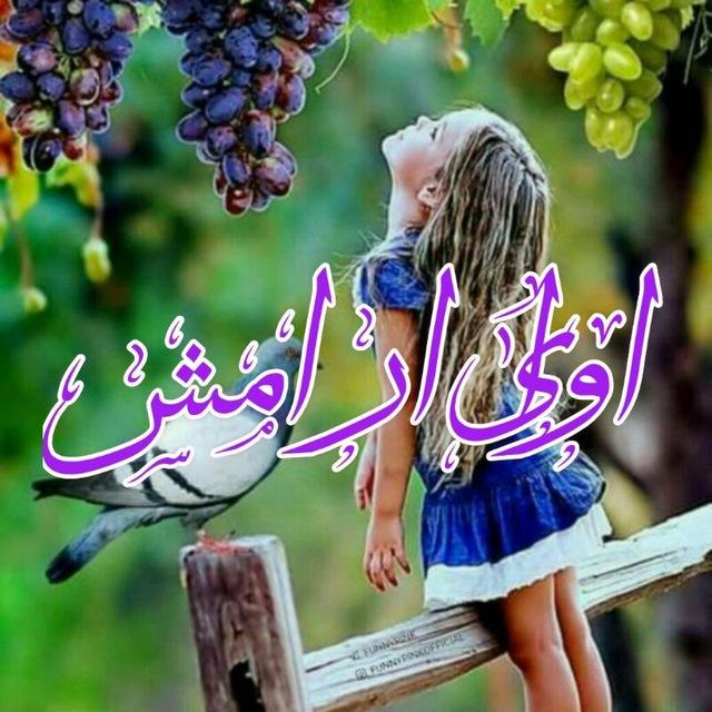 ❤️آوای آرامش❤️