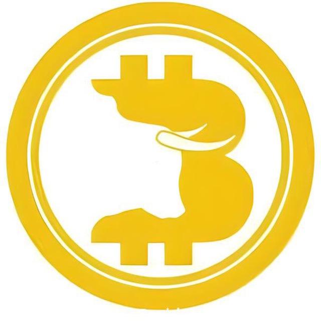 Coinbull_ Channel