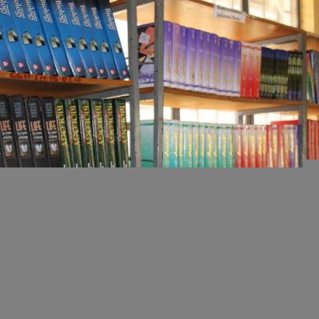 Yeka Tafo School
