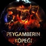 PEYGAMBERİN KÖPEĞİ