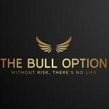 THEBULLOPTIONS