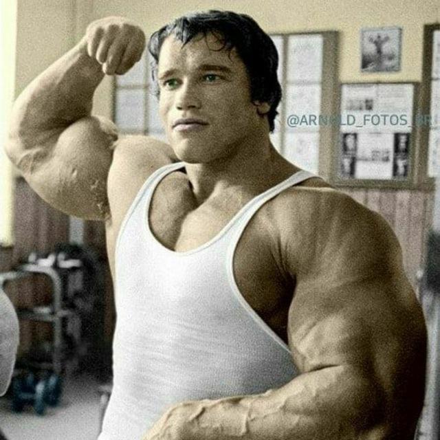 Body builders
