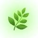 🌿Канал про здоровье