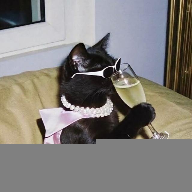 Caty maty