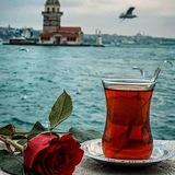 عبير حـائر