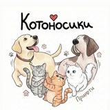 Котоносики🐾