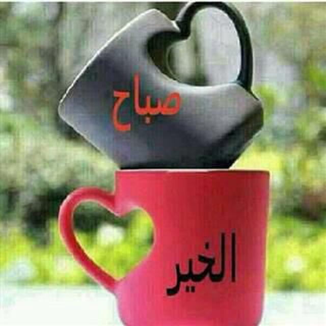 قناة التوفيق لزواج المعلن والمسيارفقط