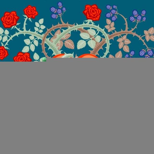 Il Rovo e la Rosa 🌹