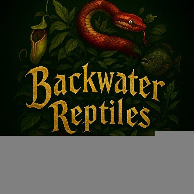 🐍خزندگان مردآب🐊