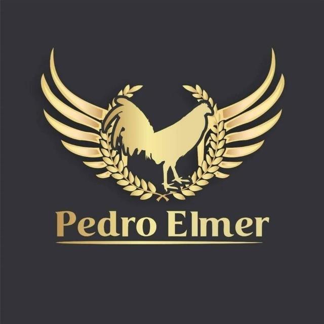 CRIADERO PEDRO ELMER 🇵🇪⚡