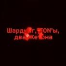 <\> Шардинг, TON'ы, два Жетона </>.