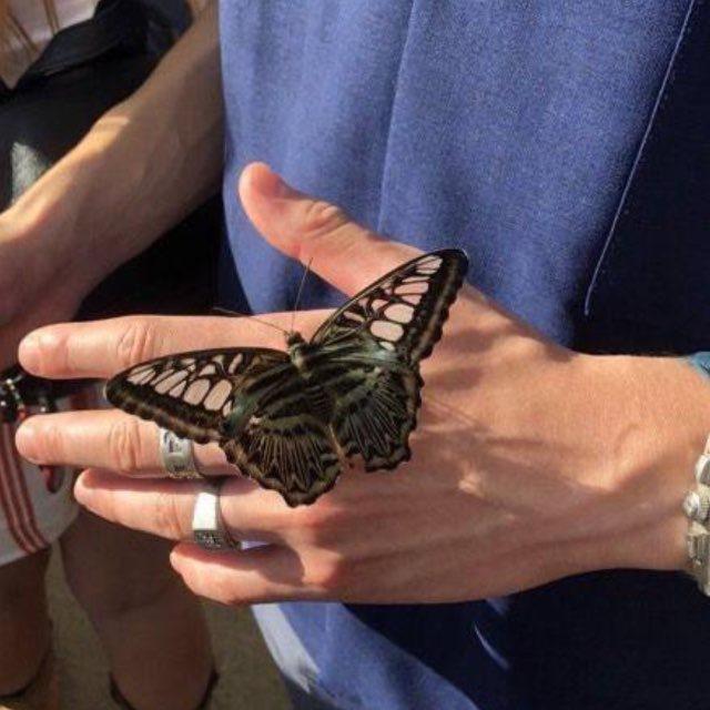 شقة رقم سبعة.