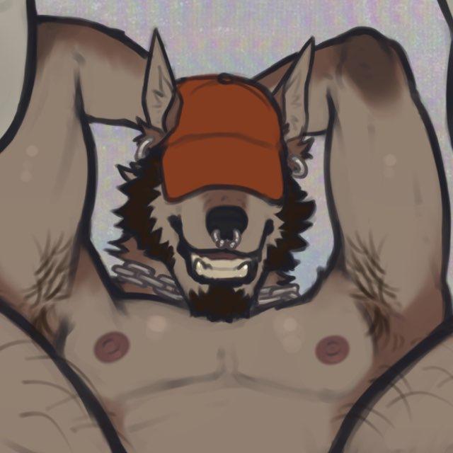 ACIDWUFF ART LTD.🐺🛒