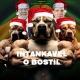 INTANKAVEL O BOSTIL