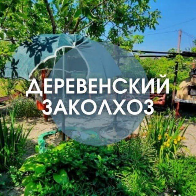 Чат Голубицкая Кучугуры Тамань Веселовка Анапа Темрюк Азовское и Черное море