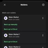 Ai Wallets (Crypto)