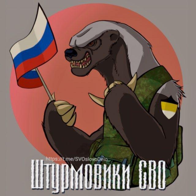 штурмовики СВО🫡
