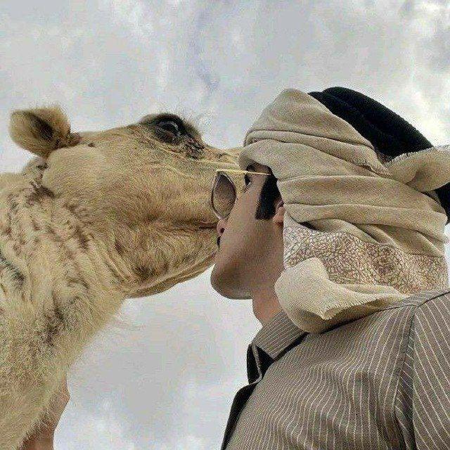 𓃴بـِٰ۫ـِ۬ـِۧ۬ـِٰ۬وح قـِـِۧ۬ـِ۬ـِٰ۫ديـِم