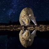 تحلیل آنلاین