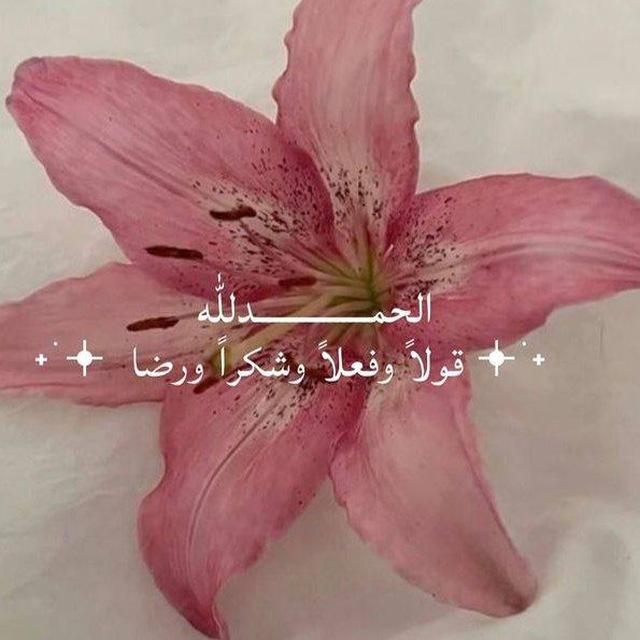 عالم تُومي🧘🏻‍♀️.