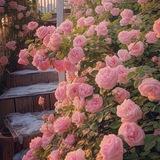 花花🌸(顶级号商)大量出售，微信号，抖音号，快手号，支付宝号，钉钉号， 成品号， 代实名 ，解封，一个也是批发价欢迎老板来咨询，