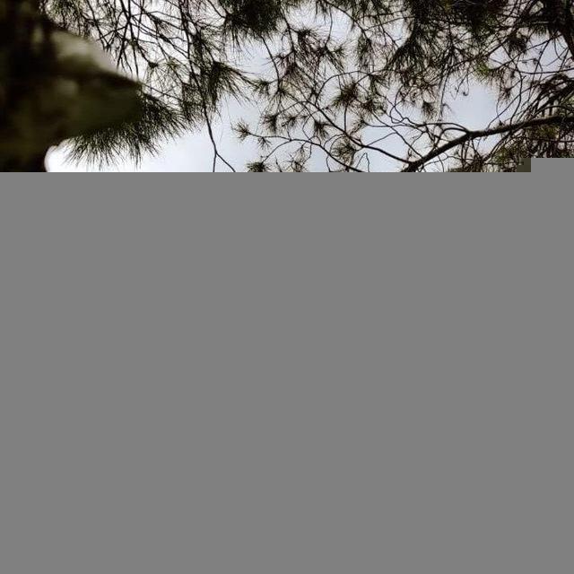 دفــــٓــى الــقلــــوبـــ💚