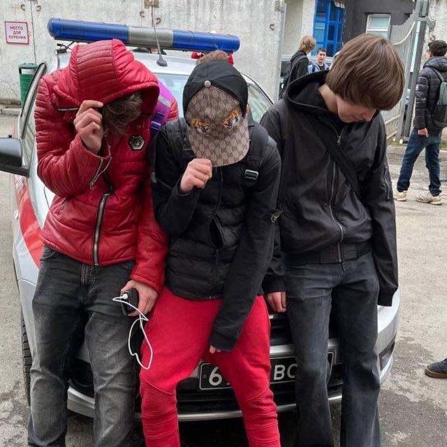 сморчка стая